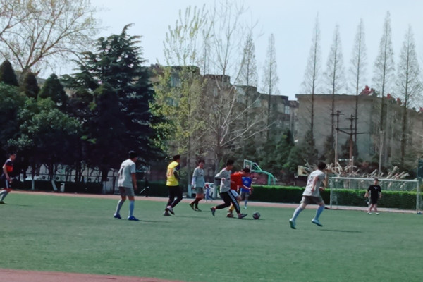 QQ图片20190409122844_副本.jpg